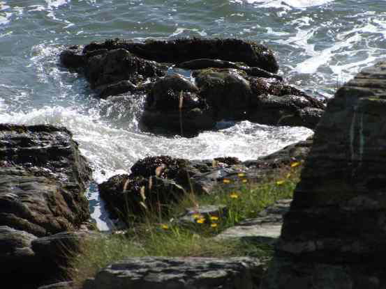 National Trust Mourne Coastal Path